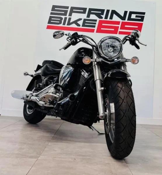 XVS 1300
