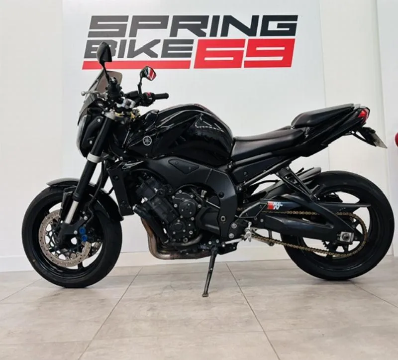 FZ1 2010