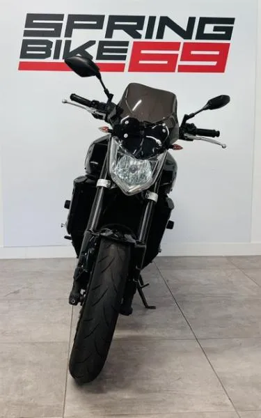 FZ1