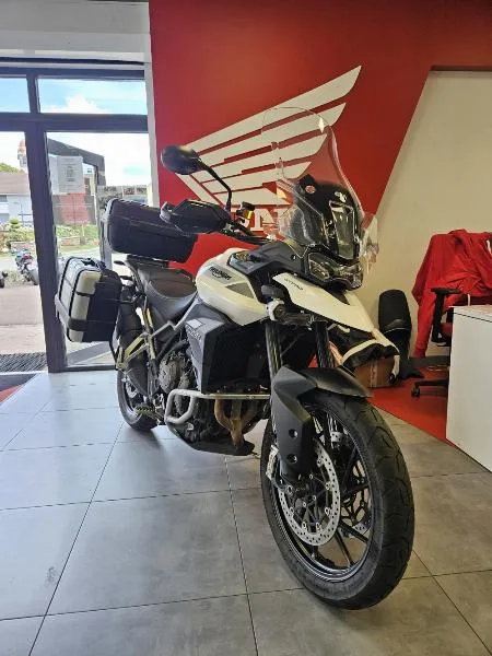 Tiger 900 GT PRO