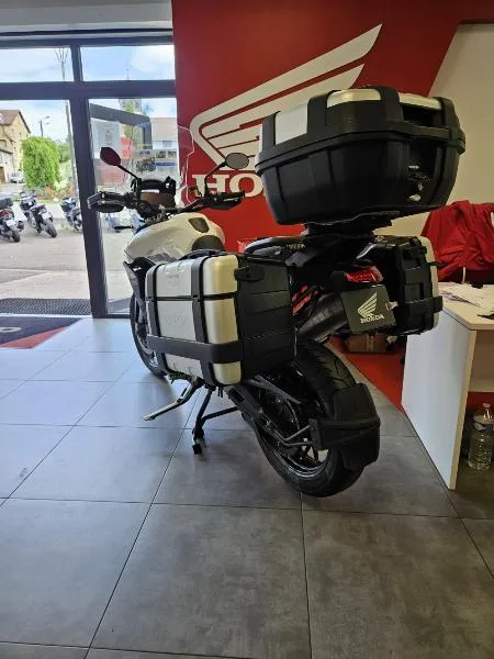 Tiger 900 GT PRO