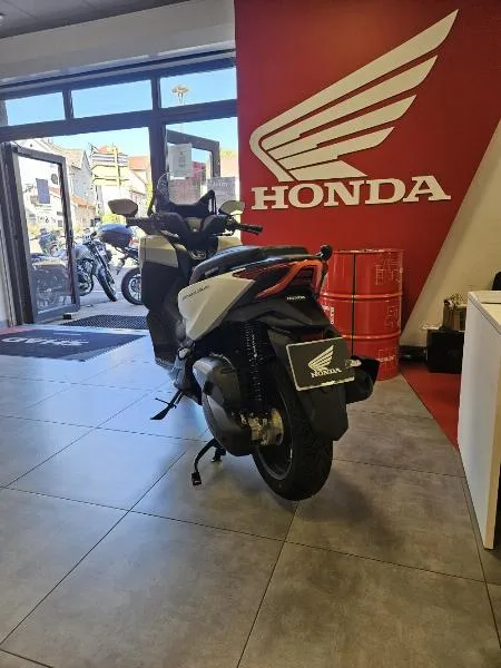 NSS FORZA 125
