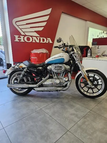 SPORTSTER 883 LOW
