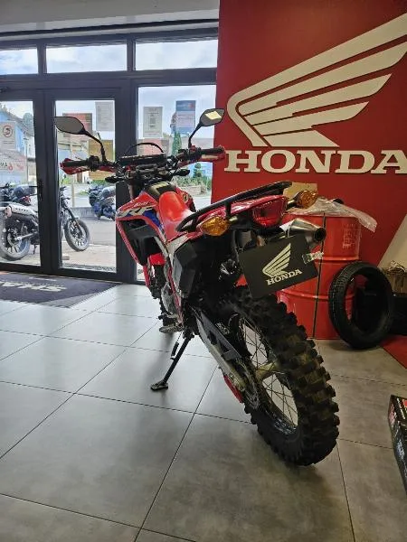 CRF 300 L