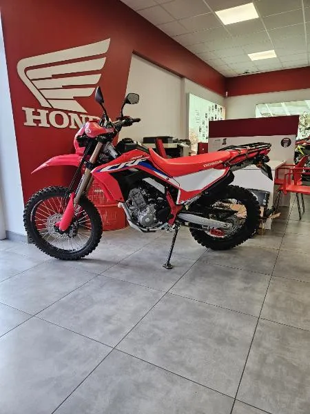 CRF 300 L