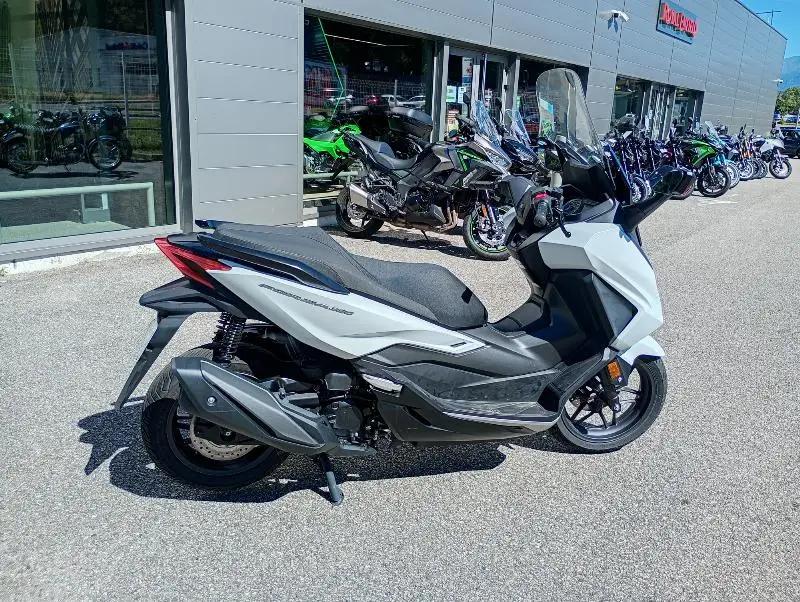 NSS FORZA 350