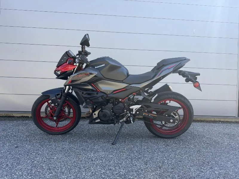 Z 500 SE