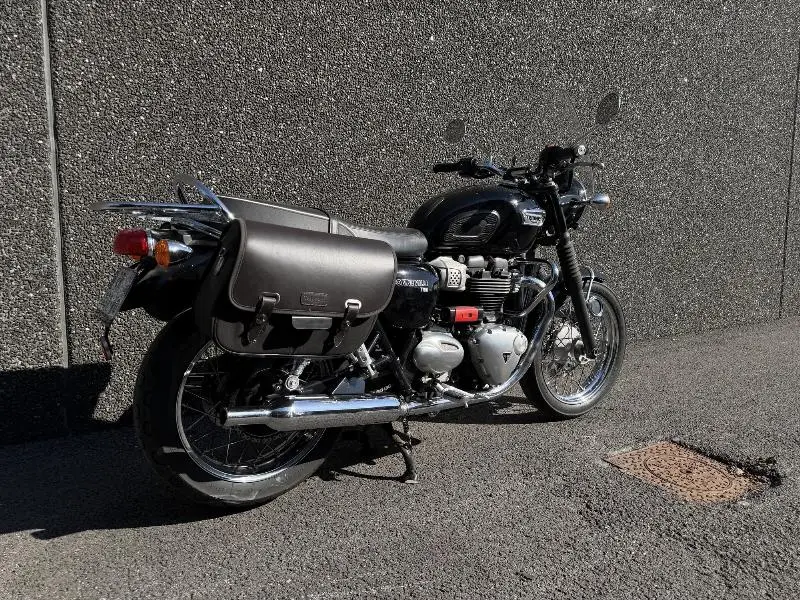 Bonneville T100