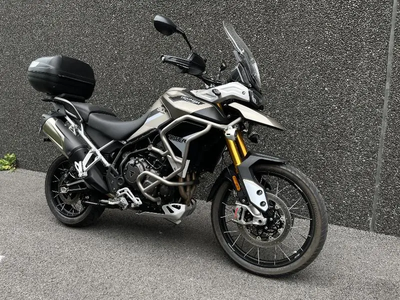 TIGER 900 RALLY PRO