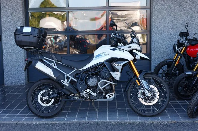 TIGER 900 RALLY PRO
