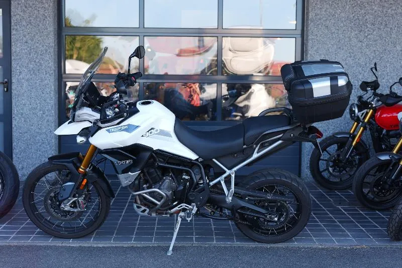 TIGER 900 RALLY PRO