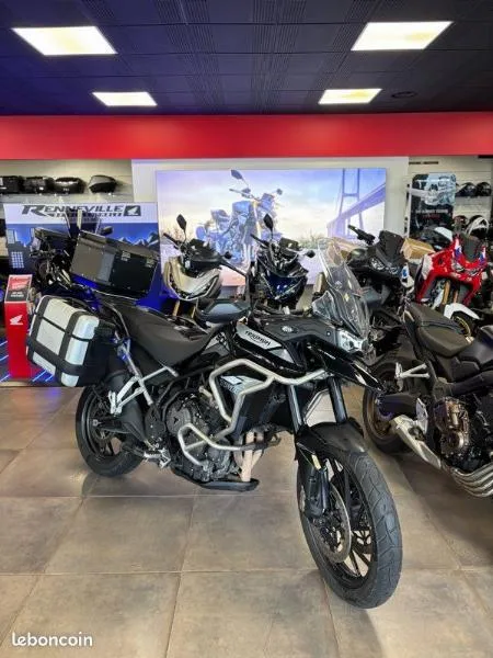 Tiger 900 GT Pro A2