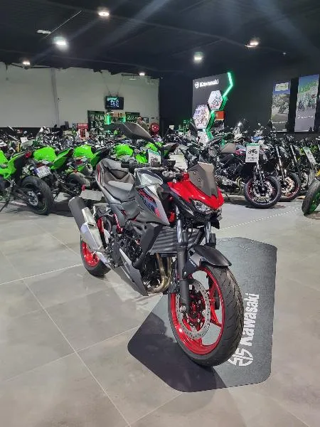Z500 SE