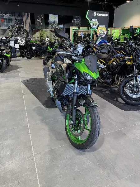 Z 500 SE