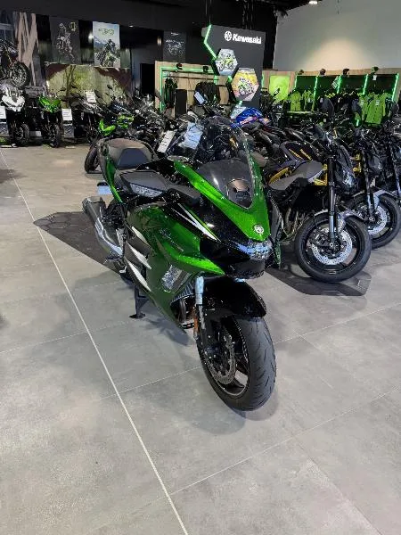 Ninja H2 SX SE