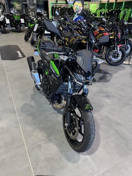 Z 500