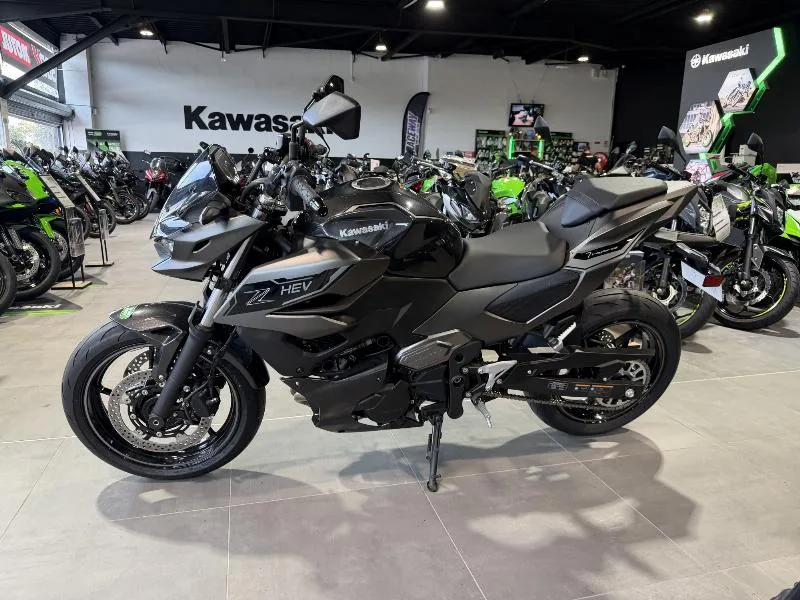 Z7 HYBRID