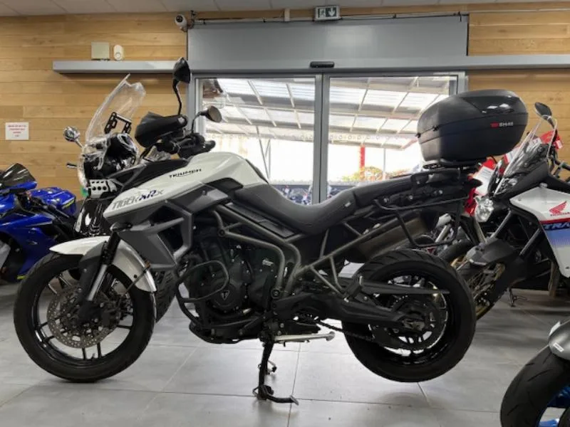 TIGER 800 XRX