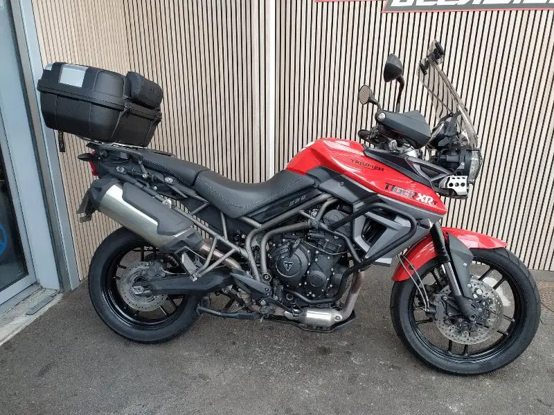 TIGER 800 XRT