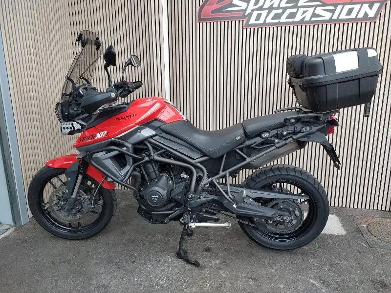 TIGER 800 XRT