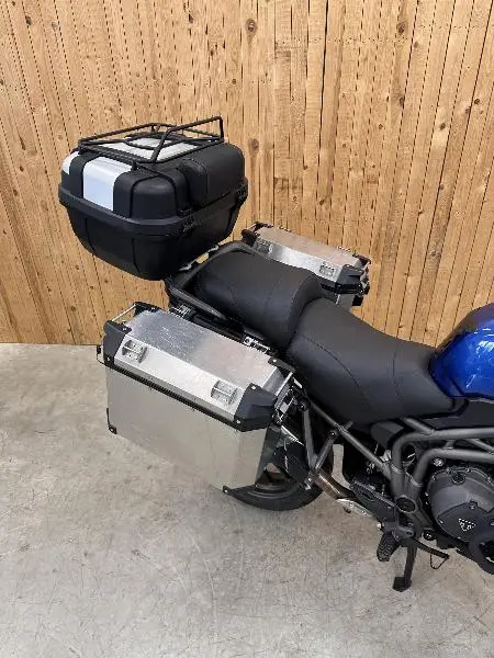 TIGER EXPLORER XRT