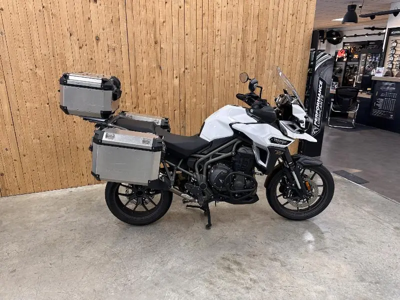 TIGER EXPLORER XRX