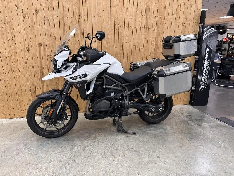TIGER EXPLORER XRX