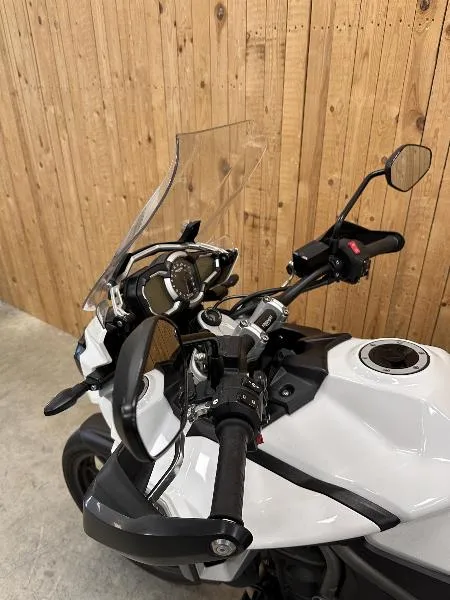 TIGER EXPLORER XRX