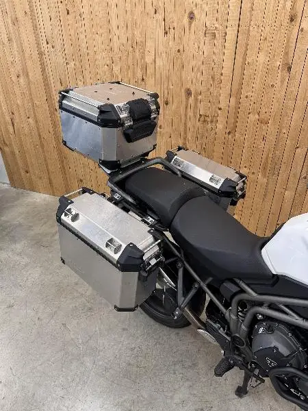 TIGER EXPLORER XRX