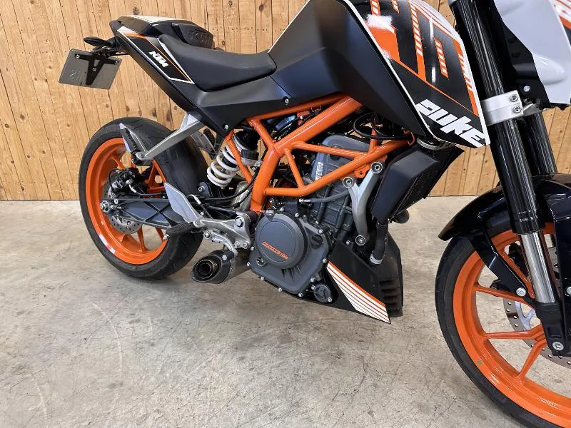 390 DUKE