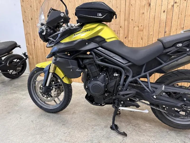 TIGER 800