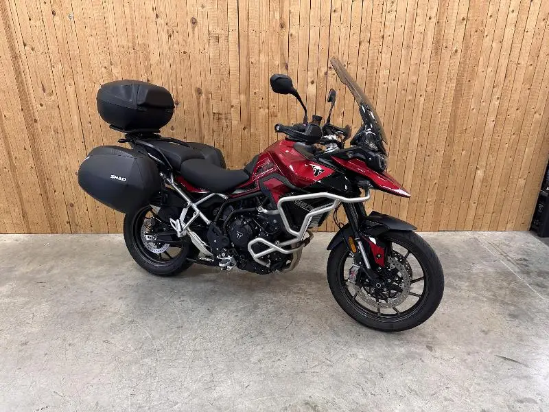 Tiger 900 GT PRO