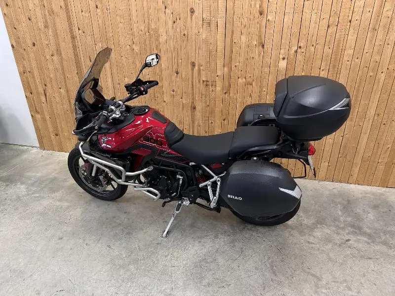 Tiger 900 GT PRO