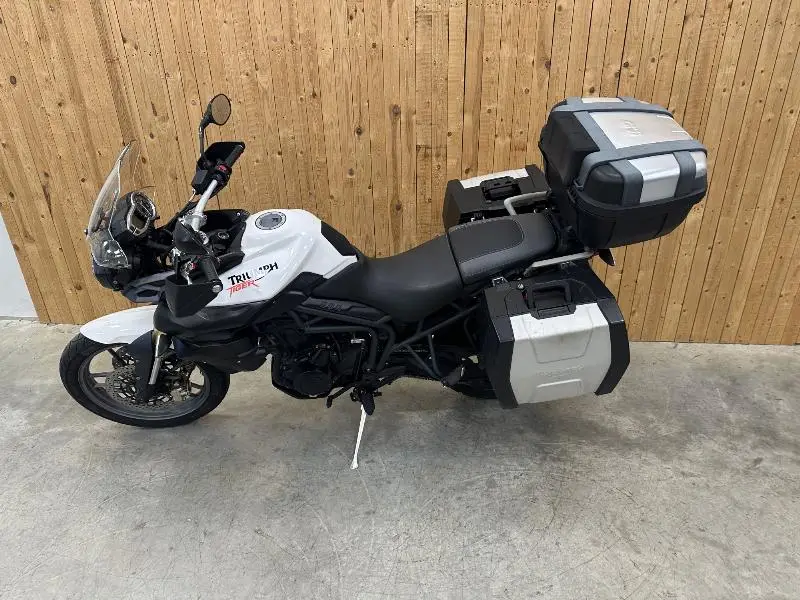 TIGER 800 ABS