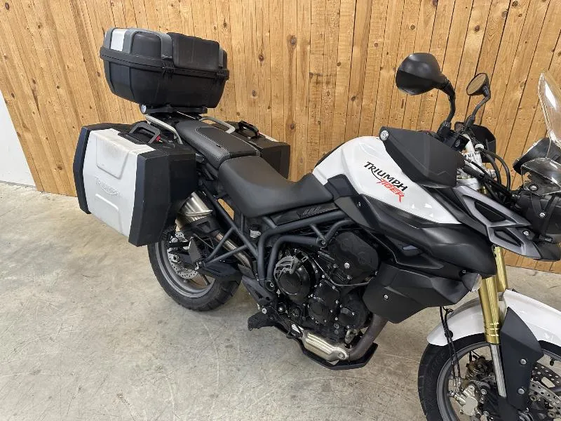 TIGER 800 ABS