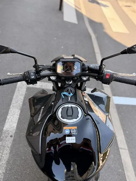Z 650 S