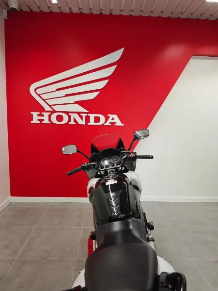 CBF 600 S
