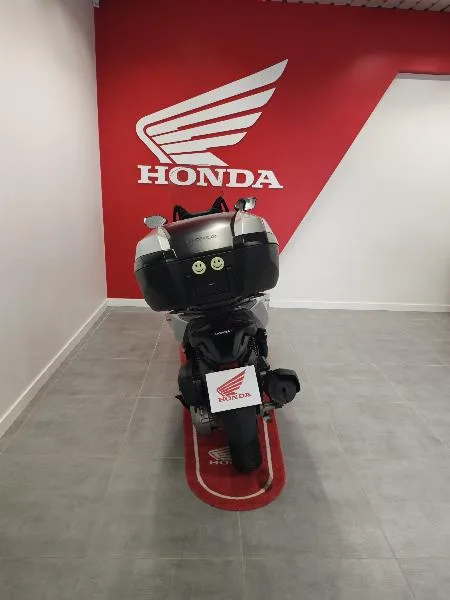 NSS FORZA 125