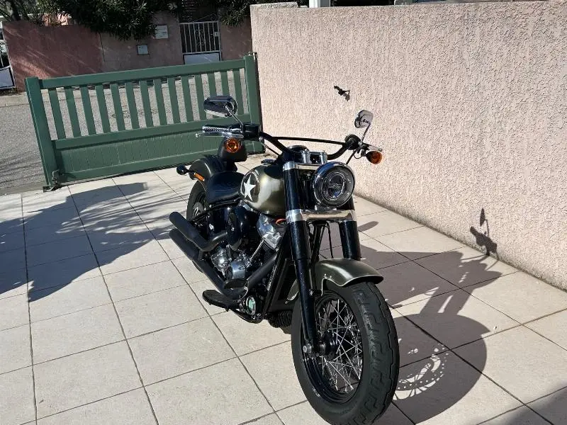 SOFTAIL SLIM 1745 2019