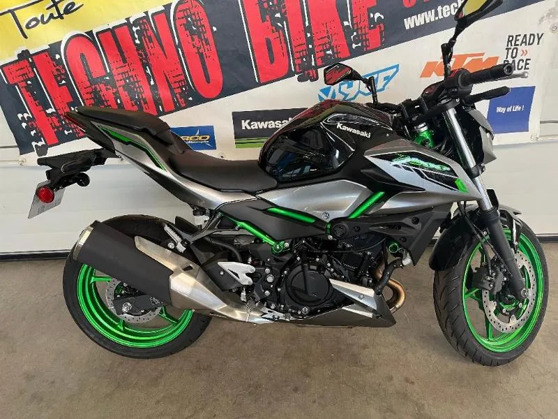 Z500 SE