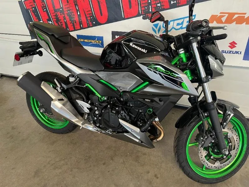 Z500 SE