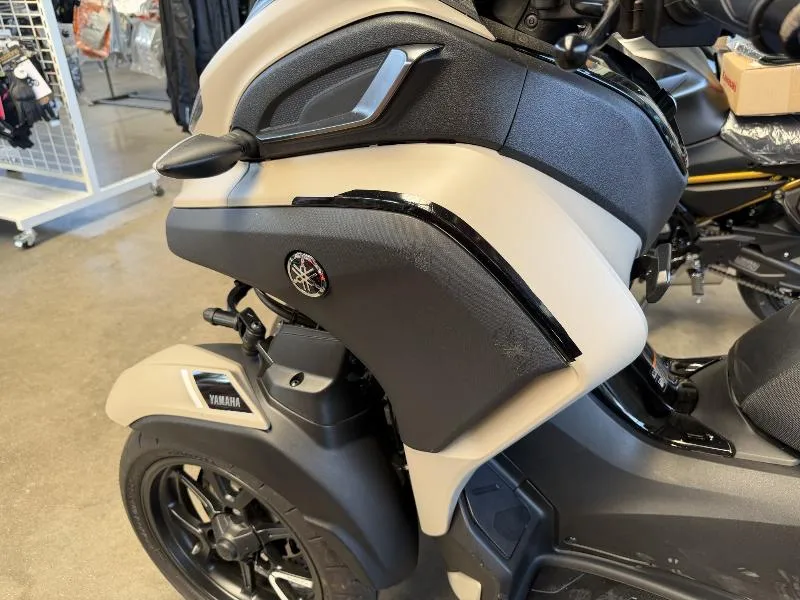 TRICITY 300