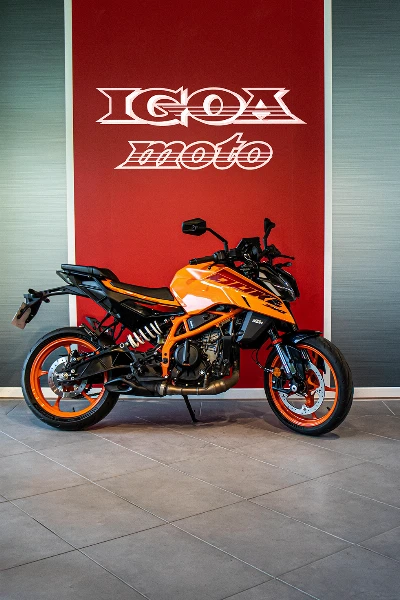 390 DUKE ABS