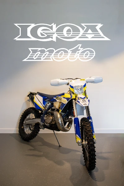 TE 300