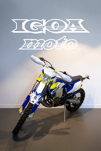 TE 300
