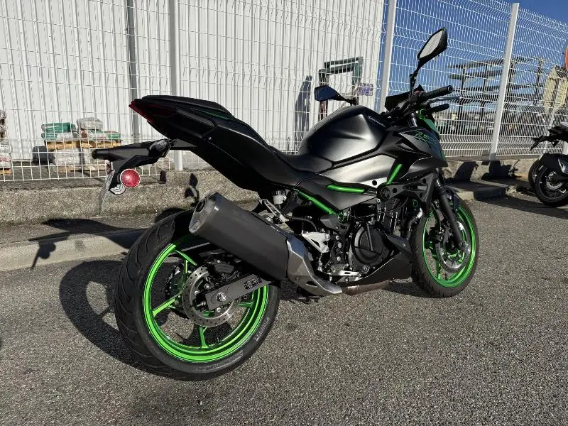 Z 500 SE
