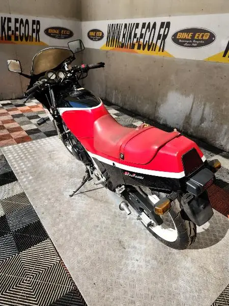 RG GAMMA 250