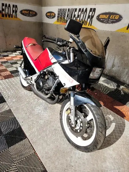 RG GAMMA 250