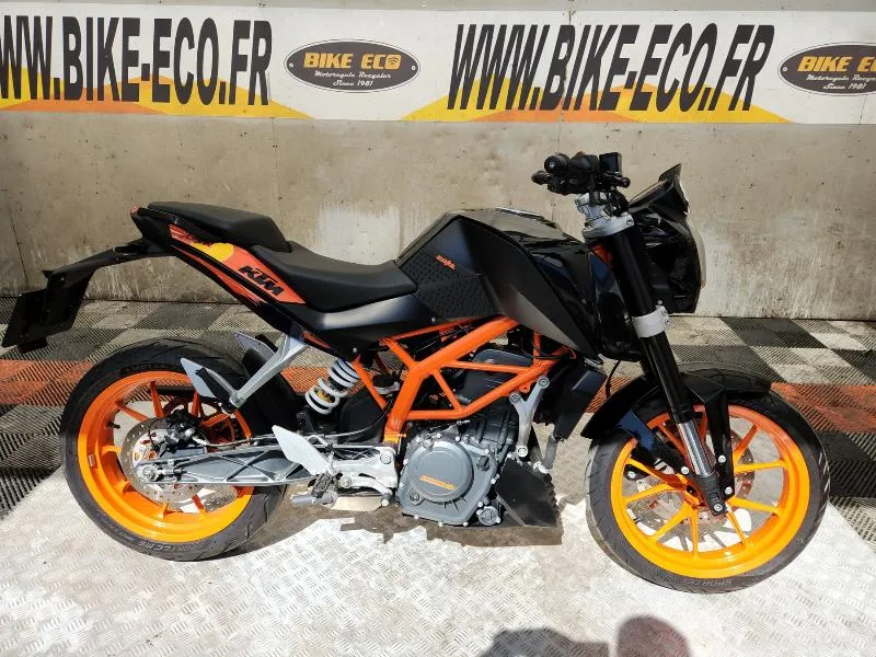 390 DUKE 2013