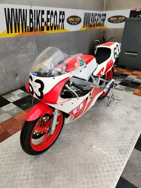 TZ 250